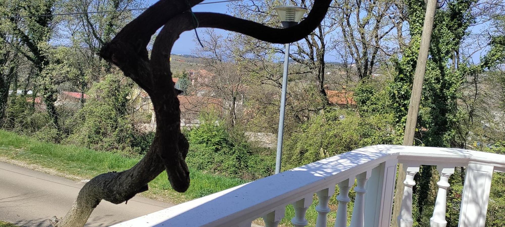 Vila Breskvar Mugeba Eksteriør bilde